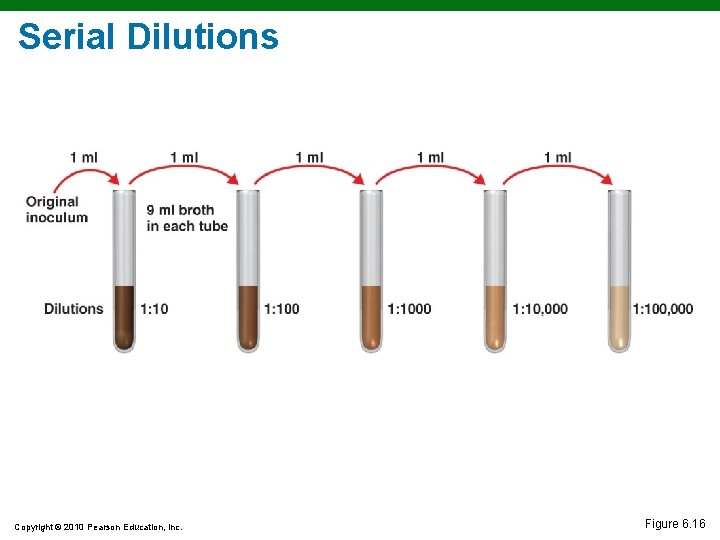 Serial Dilutions Copyright © 2010 Pearson Education, Inc. Figure 6. 16 