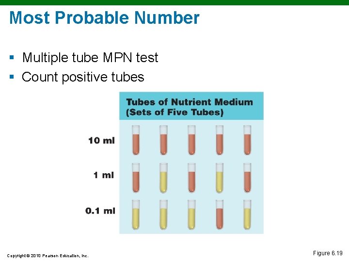 Most Probable Number § Multiple tube MPN test § Count positive tubes Copyright ©