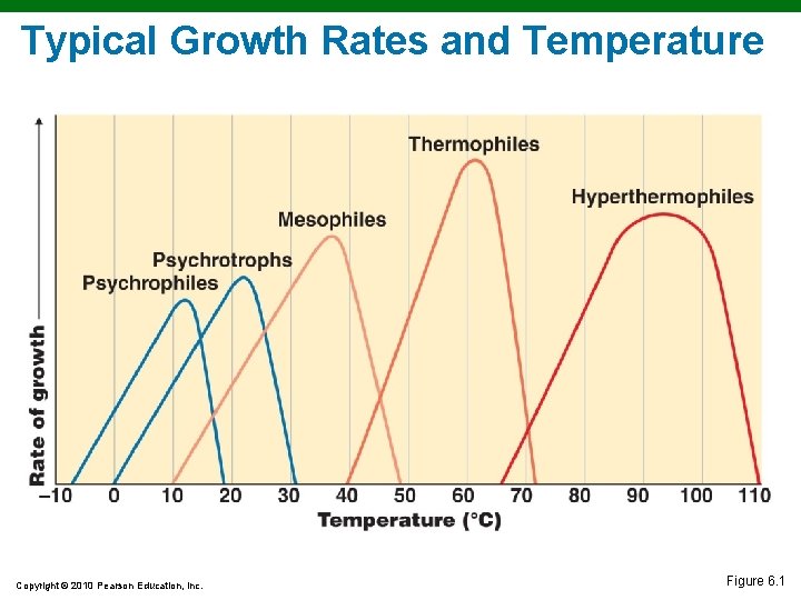 Typical Growth Rates and Temperature Copyright © 2010 Pearson Education, Inc. Figure 6. 1