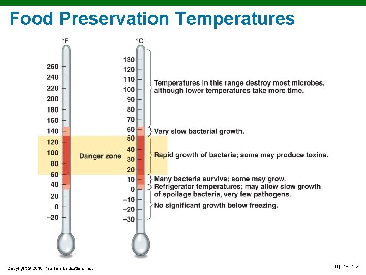 Food Preservation Temperatures Copyright © 2010 Pearson Education, Inc. Figure 6. 2 