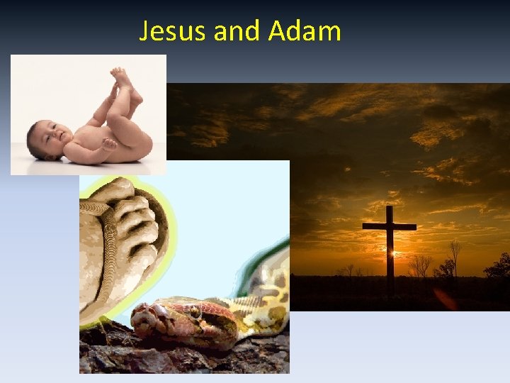 Jesus and Adam 