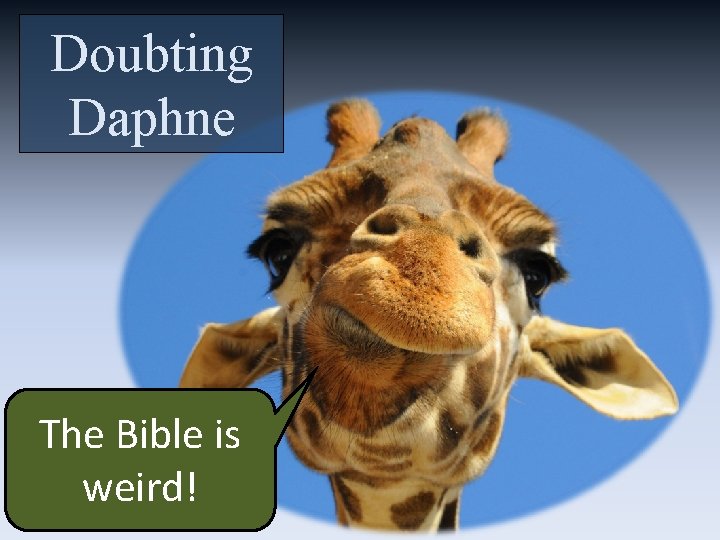 Doubting Daphne The Bible is weird! 