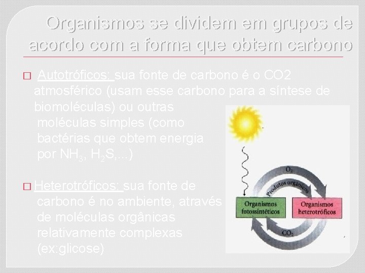 Organismos se dividem em grupos de acordo com a forma que obtem carbono �
