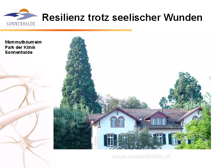 Resilienz trotz seelischer Wunden Mammutbäumeim Park der Klinik Sonnenhalde Resilienz trotz seelischer Wunden Mammutbäumeim Park der Klinik Sonnenhalde