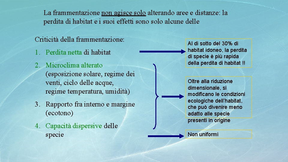 La frammentazione non agisce solo alterando aree e distanze: la perdita di habitat e