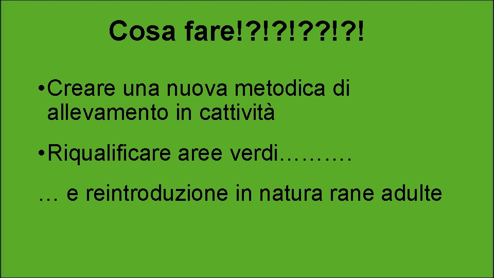 Cosa fare!? !? !? ! • Creare una nuova metodica di allevamento in cattività