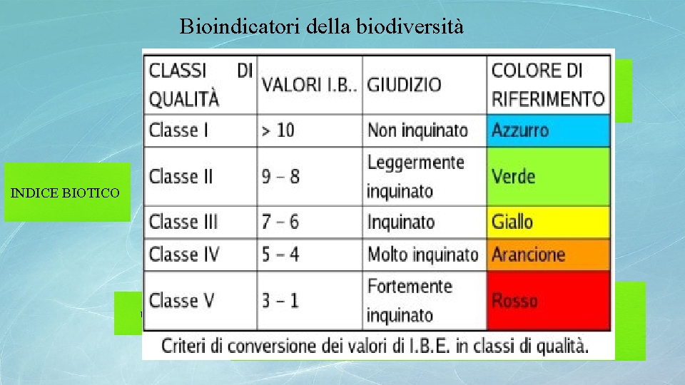 Bioindicatori della biodiversità Valutazioni numeriche di qualità delle acque correnti mediante analisi dei popolamenti