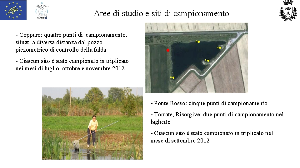 Aree di studio e siti di campionamento - Copparo: quattro punti di campionamento, situati