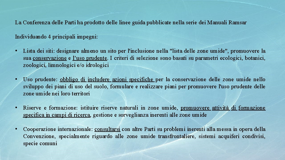 La Conferenza delle Parti ha prodotto delle linee guida pubblicate nella serie dei Manuali