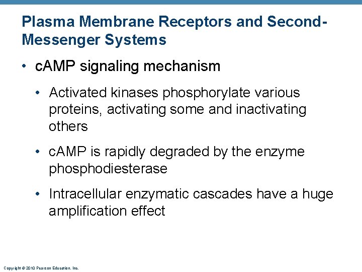 Plasma Membrane Receptors and Second. Messenger Systems • c. AMP signaling mechanism • Activated