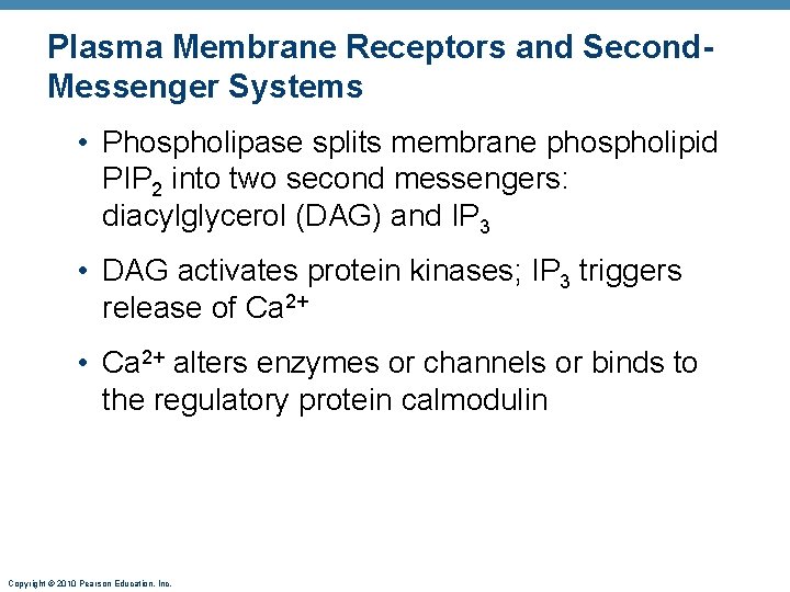 Plasma Membrane Receptors and Second. Messenger Systems • Phospholipase splits membrane phospholipid PIP 2