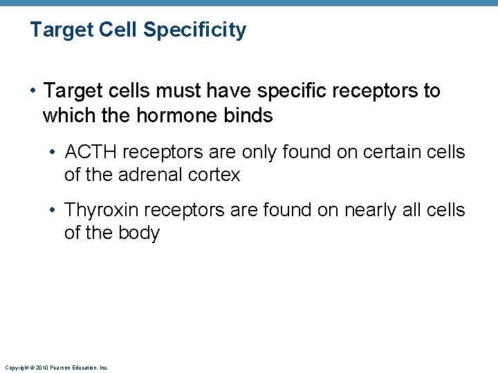 Target Cell Specificity • Target cells must have specific receptors to which the hormone