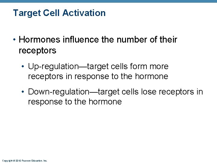 Target Cell Activation • Hormones influence the number of their receptors • Up-regulation—target cells