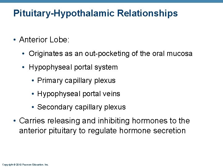 Pituitary-Hypothalamic Relationships • Anterior Lobe: • Originates as an out-pocketing of the oral mucosa