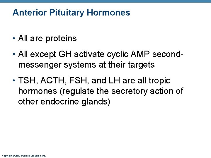 Anterior Pituitary Hormones • All are proteins • All except GH activate cyclic AMP