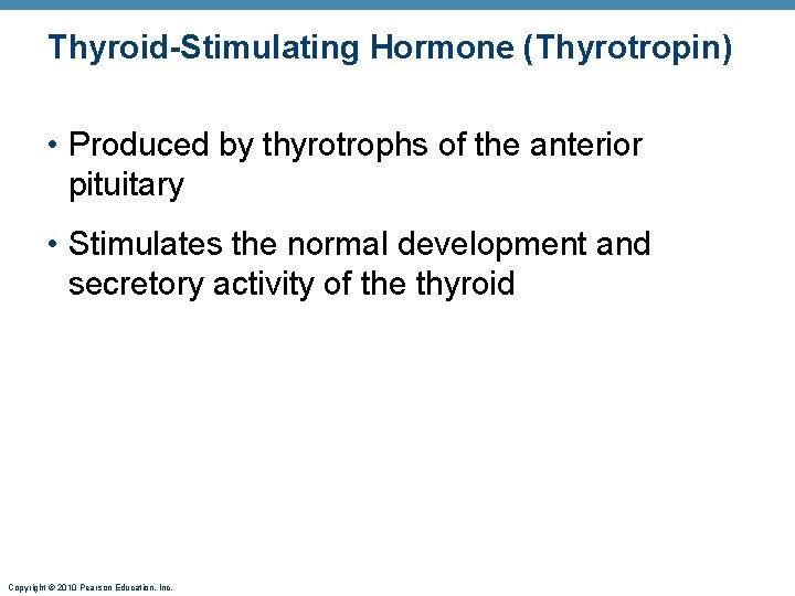 Thyroid-Stimulating Hormone (Thyrotropin) • Produced by thyrotrophs of the anterior pituitary • Stimulates the