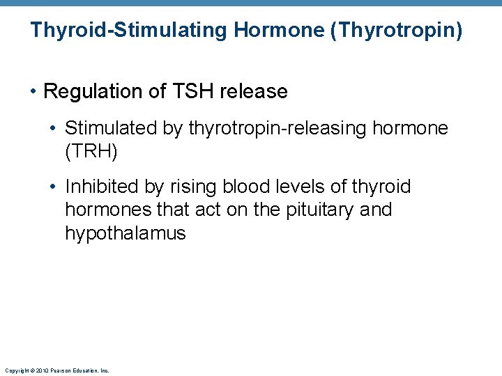 Thyroid-Stimulating Hormone (Thyrotropin) • Regulation of TSH release • Stimulated by thyrotropin-releasing hormone (TRH)