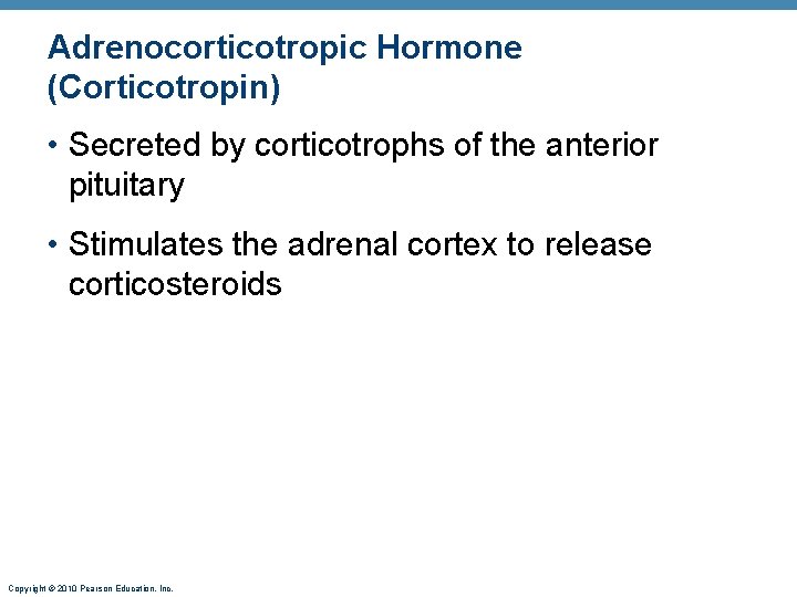 Adrenocorticotropic Hormone (Corticotropin) • Secreted by corticotrophs of the anterior pituitary • Stimulates the