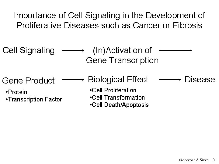 Importance of Cell Signaling in the Development of Proliferative Diseases such as Cancer or