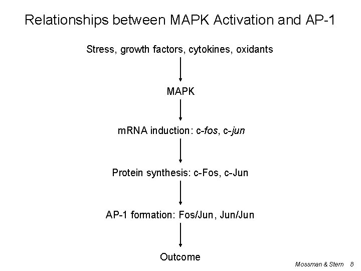 Relationships between MAPK Activation and AP-1 Stress, growth factors, cytokines, oxidants MAPK m. RNA