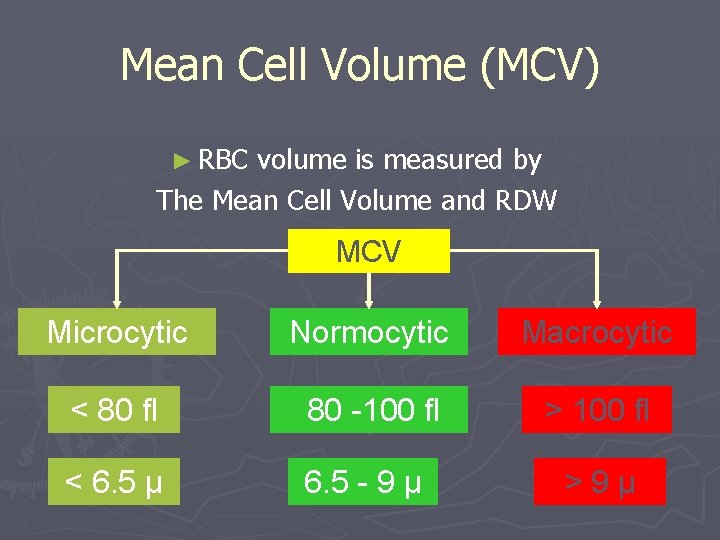 Mean Cell Volume (MCV) ► RBC volume is measured by The Mean Cell Volume