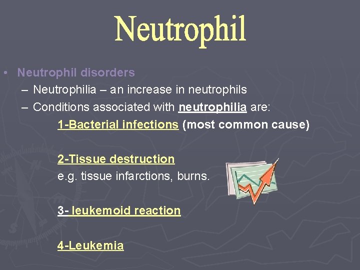  • Neutrophil disorders – Neutrophilia – an increase in neutrophils – Conditions associated