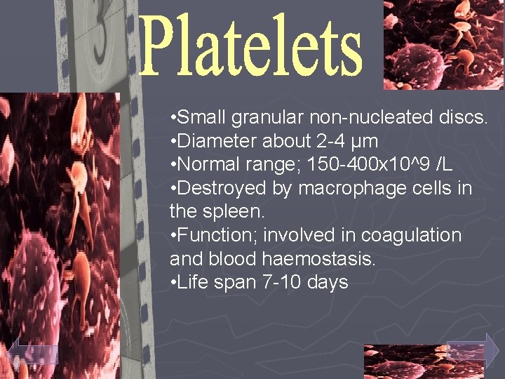  • Small granular non-nucleated discs. • Diameter about 2 -4 µm • Normal