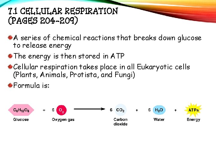 7. 1 CELLULAR RESPIRATION (PAGES 204 -209) A series of chemical reactions that breaks