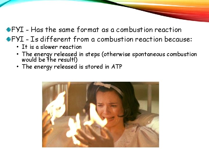 FYI - Has the same format as a combustion reaction FYI - Is different