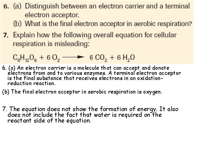 6. (a) An electron carrier is a molecule that can accept and donate electrons