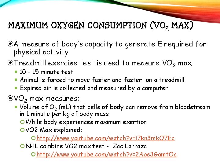 MAXIMUM OXYGEN CONSUMPTION (VO 2 MAX) A measure of body’s capacity to generate E