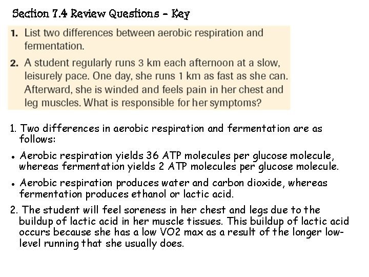 Section 7. 4 Review Questions - Key 1. Two differences in aerobic respiration and