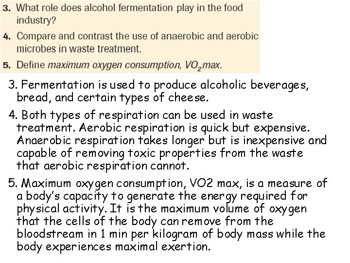 3. Fermentation is used to produce alcoholic beverages, bread, and certain types of cheese.