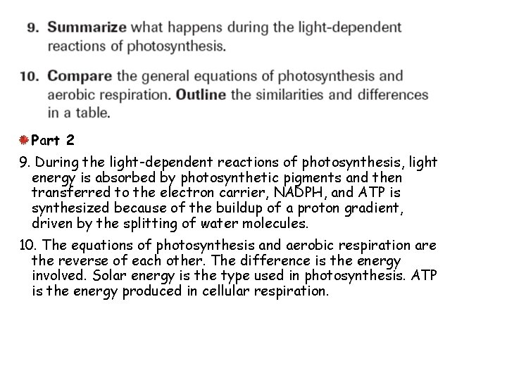 Part 2 9. During the light-dependent reactions of photosynthesis, light energy is absorbed by