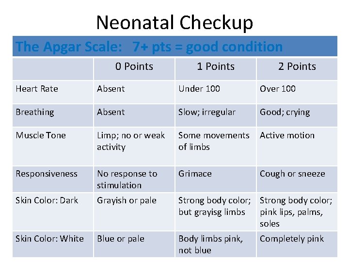 Neonatal Checkup The Apgar Scale: 7+ pts = good condition 0 Points 1 Points