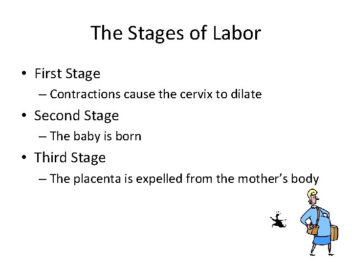 The Stages of Labor • First Stage – Contractions cause the cervix to dilate