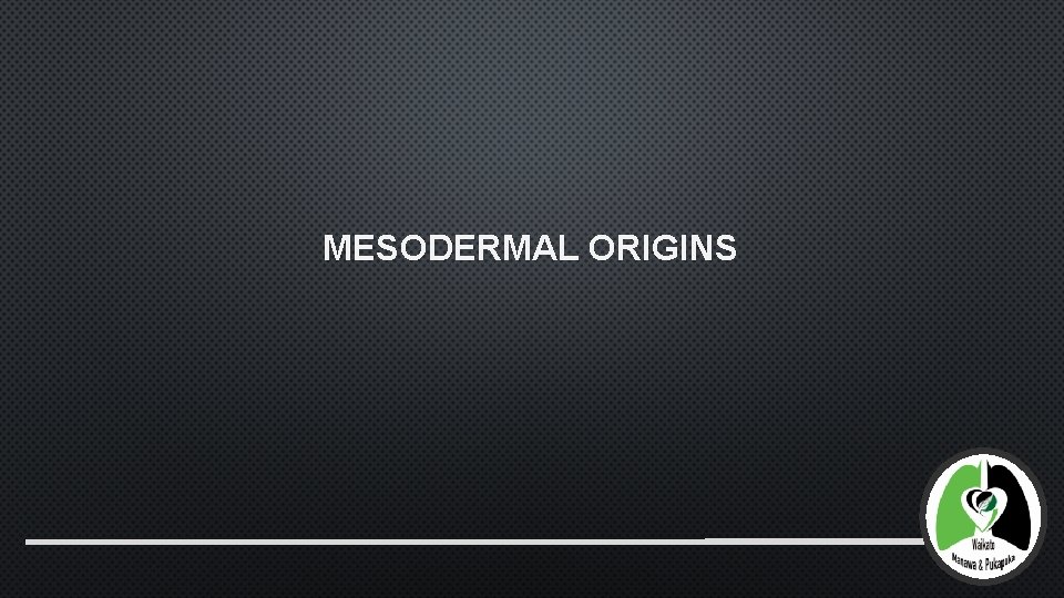 MESODERMAL ORIGINS 