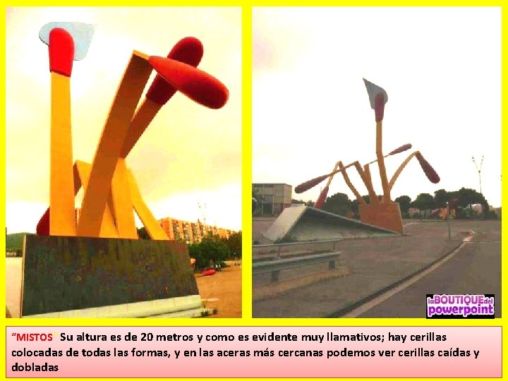 “MISTOS” Su altura es de 20 metros y como es evidente muy llamativos; hay
