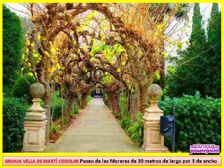 GRANJA VELLA DE MARTÍ CODOLAR Paseo de las Moreras de 30 metros de largo