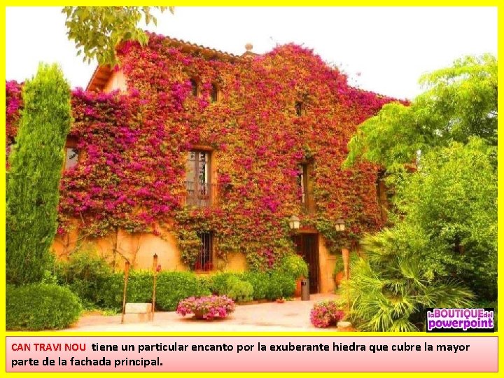 CAN TRAVI NOU tiene un particular encanto por la exuberante hiedra que cubre la