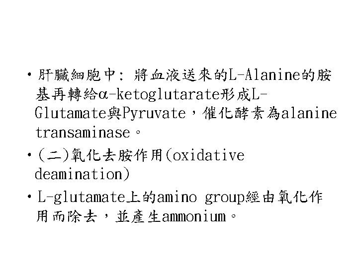  • 肝臟細胞中: 將血液送來的L-Alanine的胺 基再轉給 -ketoglutarate形成LGlutamate與Pyruvate，催化酵素為alanine transaminase。 • (二)氧化去胺作用(oxidative deamination) • L-glutamate上的amino group經由氧化作 用而除去，並產生ammonium。