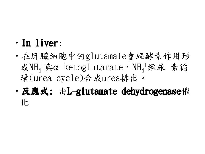  • In liver: • 在肝臟細胞中的glutamate會經酵素作用形 成NH 4+與 -ketoglutarate，NH 4+經尿 素循 環(urea cycle)合成urea排出。 •