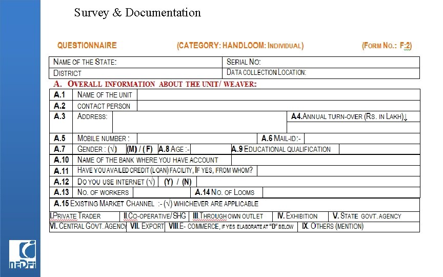 Survey & Documentation 