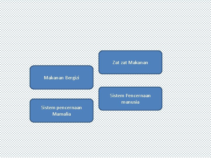 Zat zat Makanan Bergizi Sistem pencernaan Mamalia Sistem Pencernaan manusia 