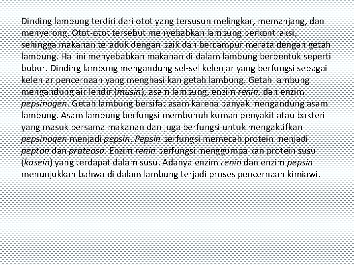 Dinding lambung terdiri dari otot yang tersusun melingkar, memanjang, dan menyerong. Otot-otot tersebut menyebabkan