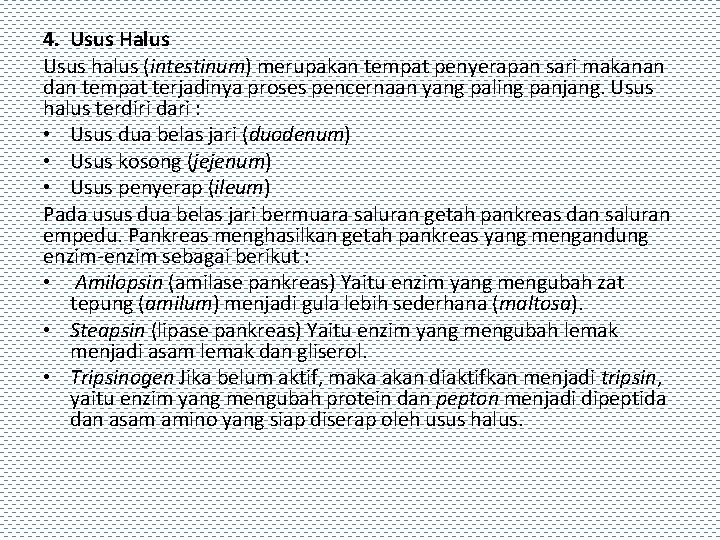 4. Usus Halus Usus halus (intestinum) merupakan tempat penyerapan sari makanan dan tempat terjadinya