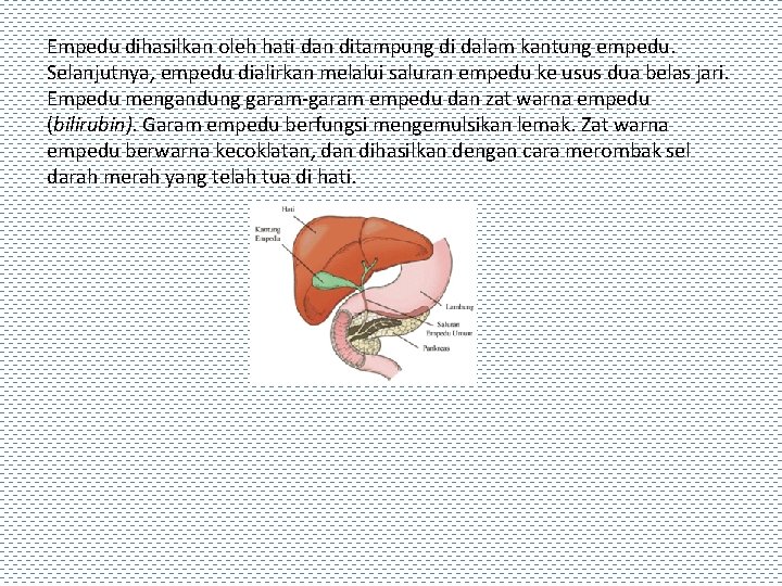 Empedu dihasilkan oleh hati dan ditampung di dalam kantung empedu. Selanjutnya, empedu dialirkan melalui