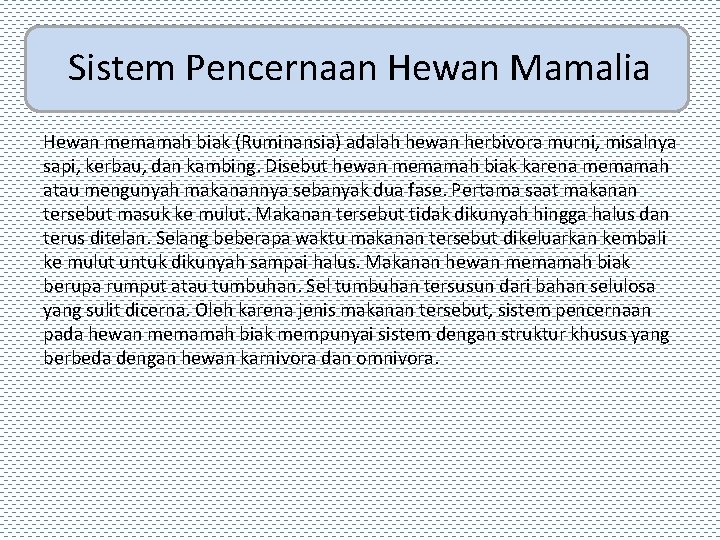 Sistem Pencernaan Hewan Mamalia Hewan memamah biak (Ruminansia) adalah hewan herbivora murni, misalnya sapi,