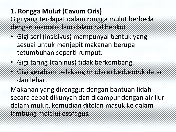 1. Rongga Mulut (Cavum Oris) Gigi yang terdapat dalam rongga mulut berbeda dengan mamalia