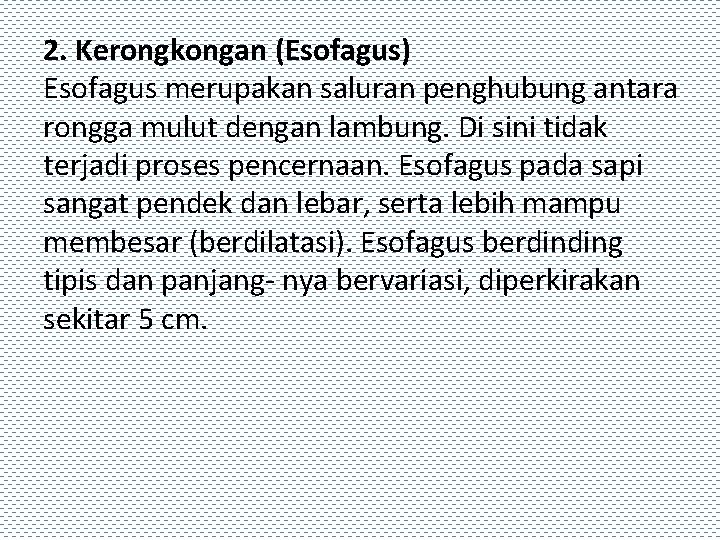 2. Kerongkongan (Esofagus) Esofagus merupakan saluran penghubung antara rongga mulut dengan lambung. Di sini